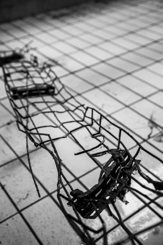 2014 02 06 Abattoir Vesoul IMG 8617